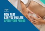 How Fast Can You Ovulate After Your Period