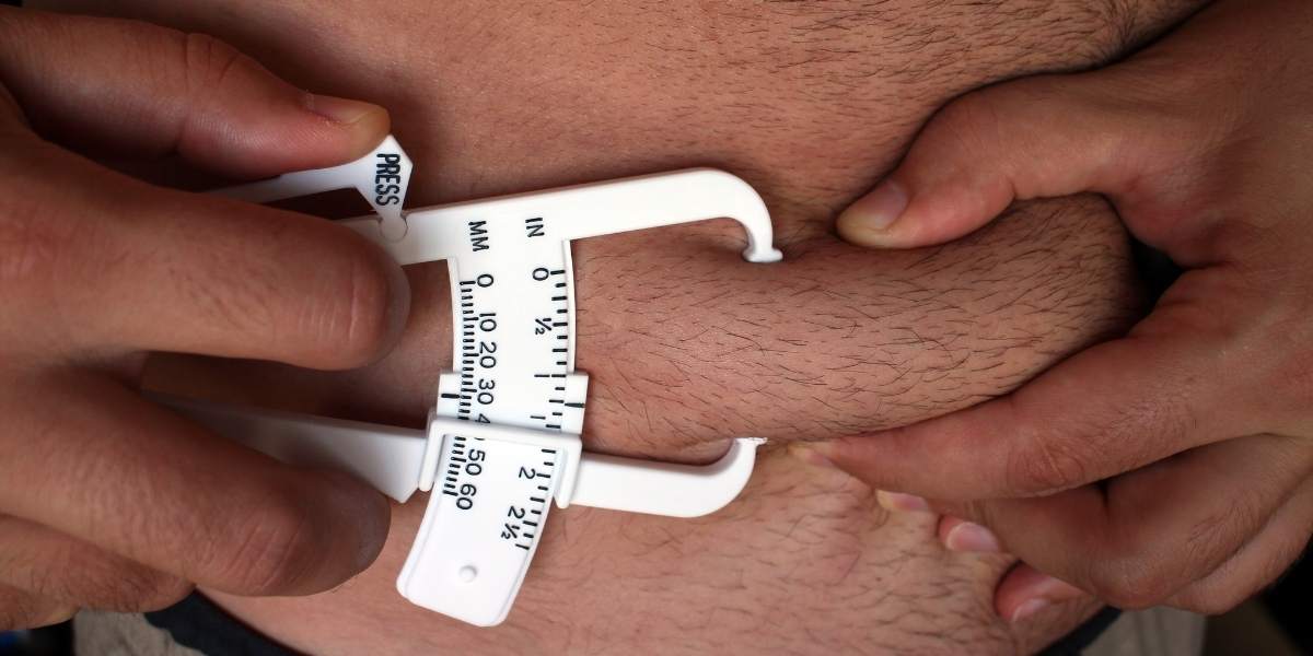 What Is BMI Used For