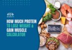 How Much Protein To Lose Weight And Gain Muscle Calculator