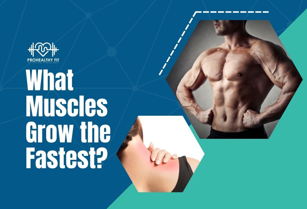 What Muscles Grow The Fastest