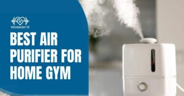 Best Air Purifier For Home Gym